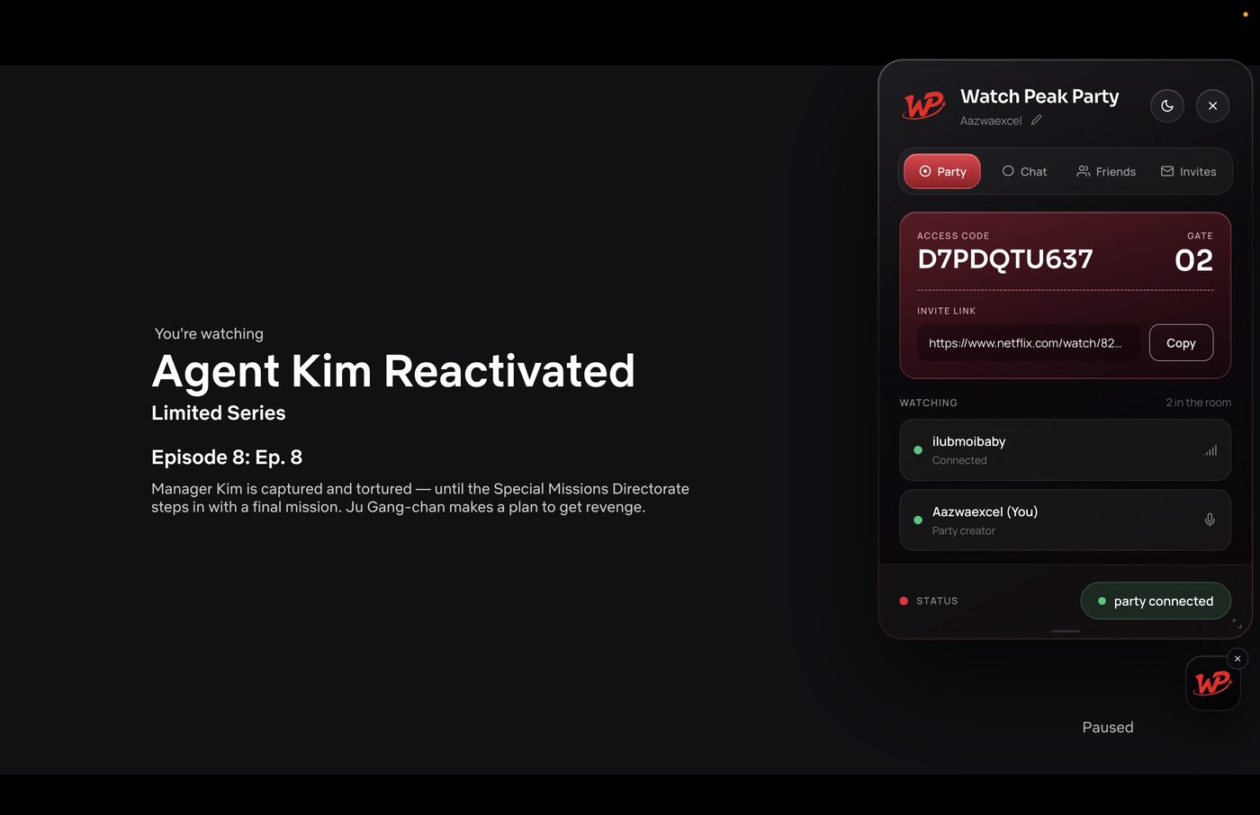 Party room code over Netflix video
